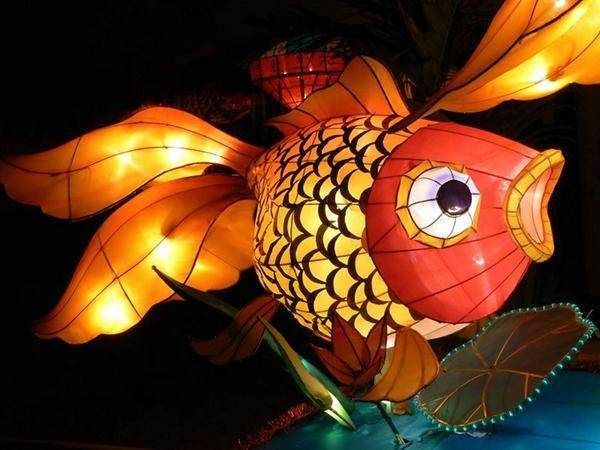 馬印龍魚燈怎么樣：馬印龍魚燈是一款專業(yè)、高效、便捷且美觀的熱帶魚照明設備 馬印龍魚燈怎么樣：馬印龍魚燈是一款專業(yè)、高效、便捷且美觀的熱帶魚照明設備 馬印水族 第2張