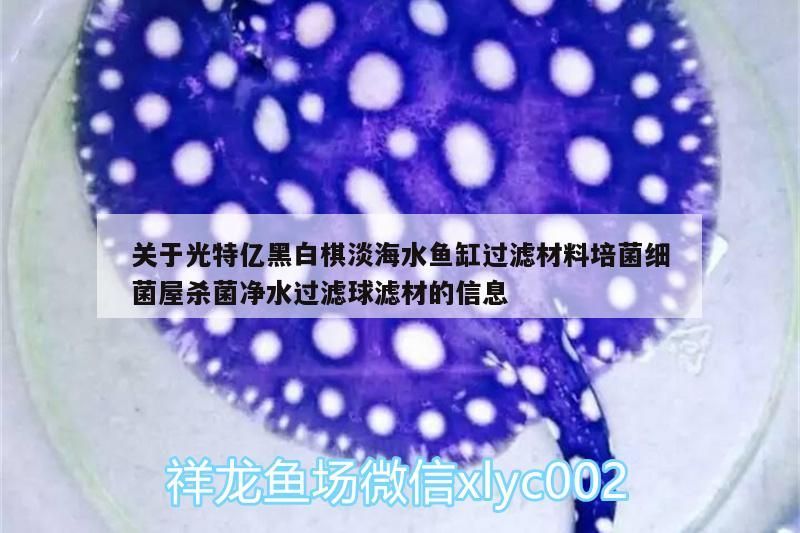 關于光特億黑白棋淡海水魚缸過濾材料培菌細菌屋殺菌凈水過濾球濾材的信息