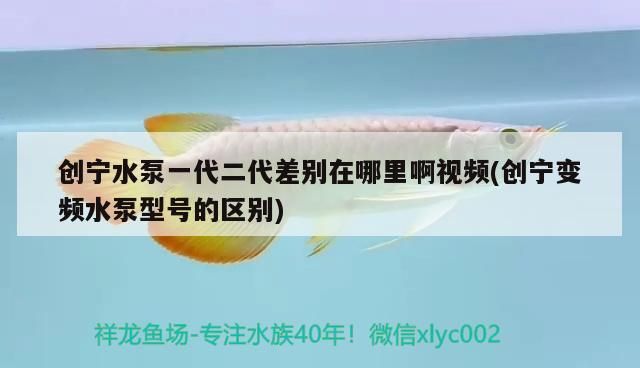 給大魚(yú)缸換水的頻率是固定的,而是需要根據(jù)多種因素來(lái)確定:給大魚(yú)缸換水的頻率不是固定的,而是需要根據(jù)多種因素來(lái)確定 創(chuàng)寧水泵一代二代差別在哪里啊視頻(創(chuàng)寧變頻水泵型號(hào)的區(qū)別) 創(chuàng)寧水族 創(chuàng)寧水泵一代二代差別在哪里啊視頻(創(chuàng)寧變頻水泵型號(hào)的區(qū)別) 創(chuàng)寧水泵一代二代差別在哪里啊視頻(創(chuàng)寧變頻水泵型號(hào)的區(qū)別) 創(chuàng)寧水族