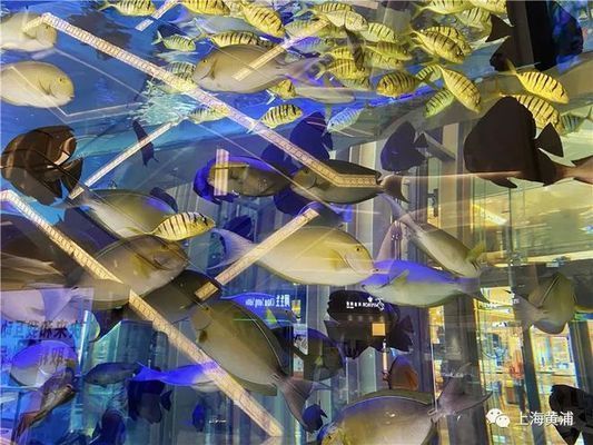 有水族館的商場：水族館的發展