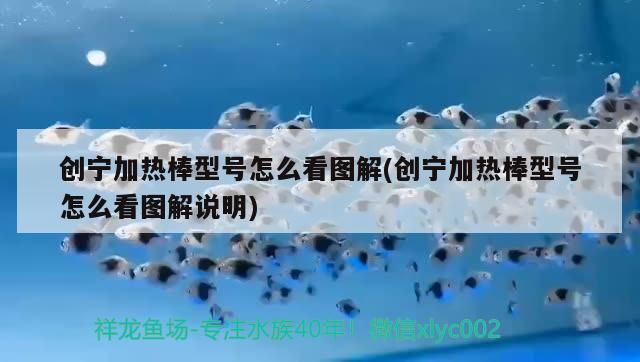創寧加熱棒型號怎么看圖解(創寧加熱棒型號怎么看圖解說明)