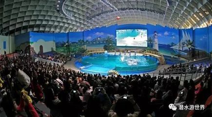 水族館能賺錢嗎(開設水族館涉及多個方面的成本主要包括以下幾個方面) 水族館百科(水族館加盟) 第5張 水族館能賺錢嗎(開設水族館涉及多個方面的成本主要包括以下幾個方面) 水族館能賺錢嗎(開設水族館涉及多個方面的成本主要包括以下幾個方面) 水族館百科(水族館加盟) 第5張