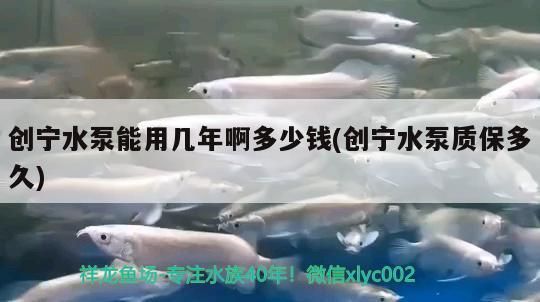 創(chuàng)寧水泵能用幾年啊多少錢(創(chuàng)寧水泵質(zhì)保多久)