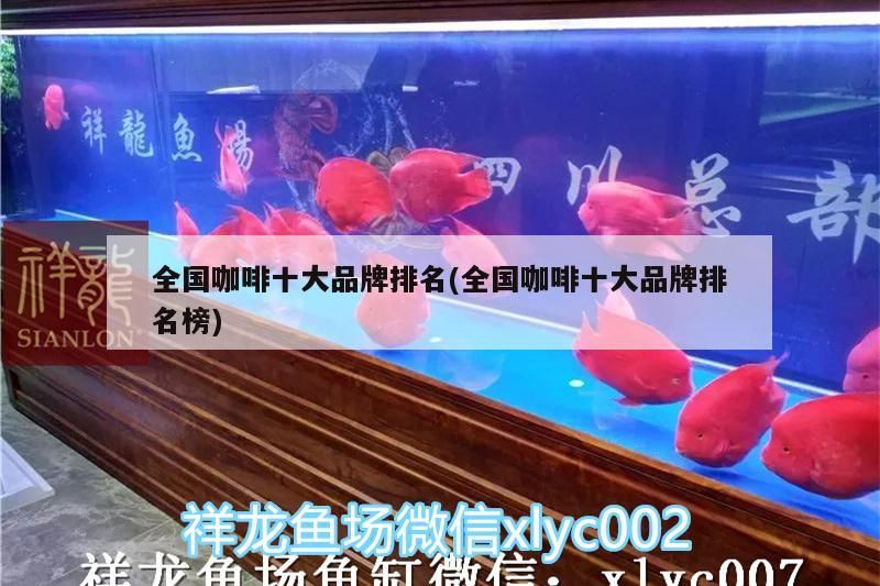 全國(guó)咖啡十大品牌排名(全國(guó)咖啡十大品牌排名榜)