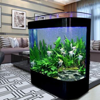 金點尚品魚缸,金點尚品魚缸免換水系統原理 魚缸百科 第1張 金點尚品魚缸,金點尚品魚缸免換水系統原理 金點尚品魚缸,金點尚品魚缸免換水系統原理 魚缸百科 第1張