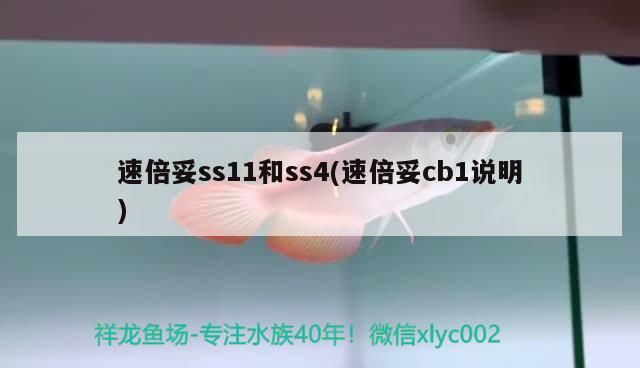 速倍妥ss11和ss4(速倍妥cb1說(shuō)明)