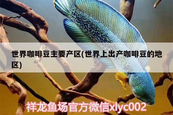 龍魚干蝦有營養嗎 世界咖啡豆主要產區(世界上出產咖啡豆的地區) 馬來西亞咖啡 世界咖啡豆主要產區(世界上出產咖啡豆的地區) 世界咖啡豆主要產區(世界上出產咖啡豆的地區) 馬來西亞咖啡