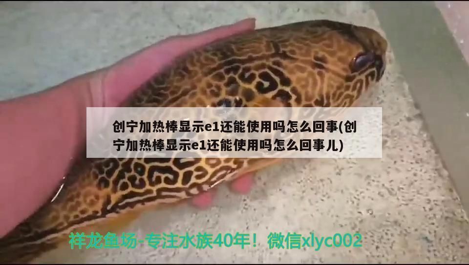 創寧加熱棒顯示e1還能使用嗎怎么回事(創寧加熱棒顯示e1還能使用嗎怎么回事兒)