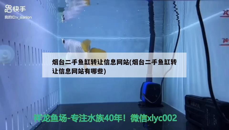 煙臺(tái)二手魚(yú)缸轉(zhuǎn)讓信息網(wǎng)站(煙臺(tái)二手魚(yú)缸轉(zhuǎn)讓信息網(wǎng)站有哪些)