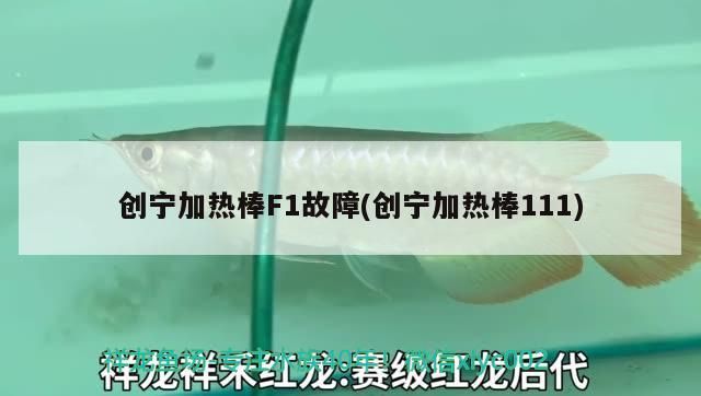 創寧加熱棒F1故障(創寧加熱棒111) 創寧加熱棒F1故障(創寧加熱棒111) 創寧水族