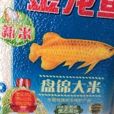 金龍魚寵物vs祥龍魚場:金龍魚寵物和祥龍魚場口碑評價祥龍魚場售后服務 vs祥龍魚場 第5張 金龍魚寵物vs祥龍魚場:金龍魚寵物和祥龍魚場口碑評價祥龍魚場售后服務 金龍魚寵物vs祥龍魚場:金龍魚寵物和祥龍魚場口碑評價祥龍魚場售后服務 vs祥龍魚場 第5張