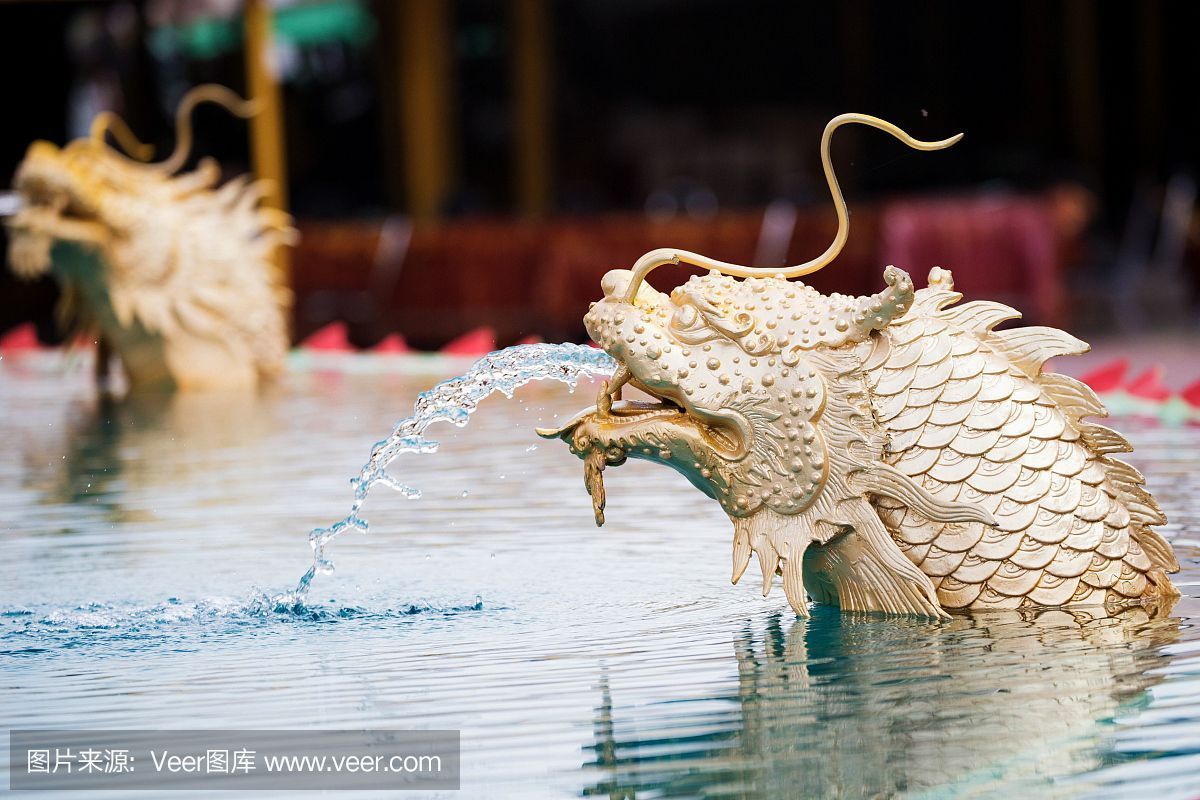 龍魚(yú)浮出水面咬空氣