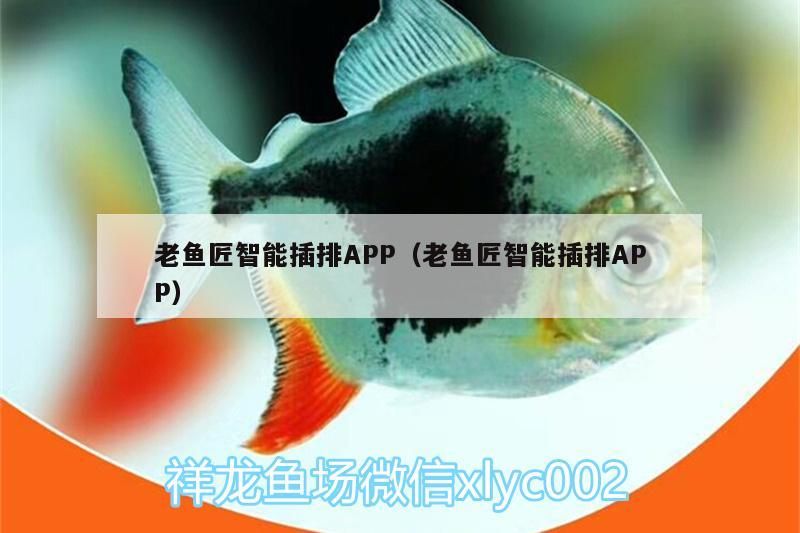 老魚匠智能插排APP（老魚匠智能插排APP） 老魚匠智能插排APP（老魚匠智能插排APP） 老魚匠