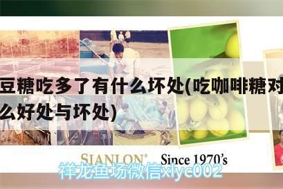咖啡豆糖吃多了有什么壞處(吃咖啡糖對人體有什么好處與壞處)