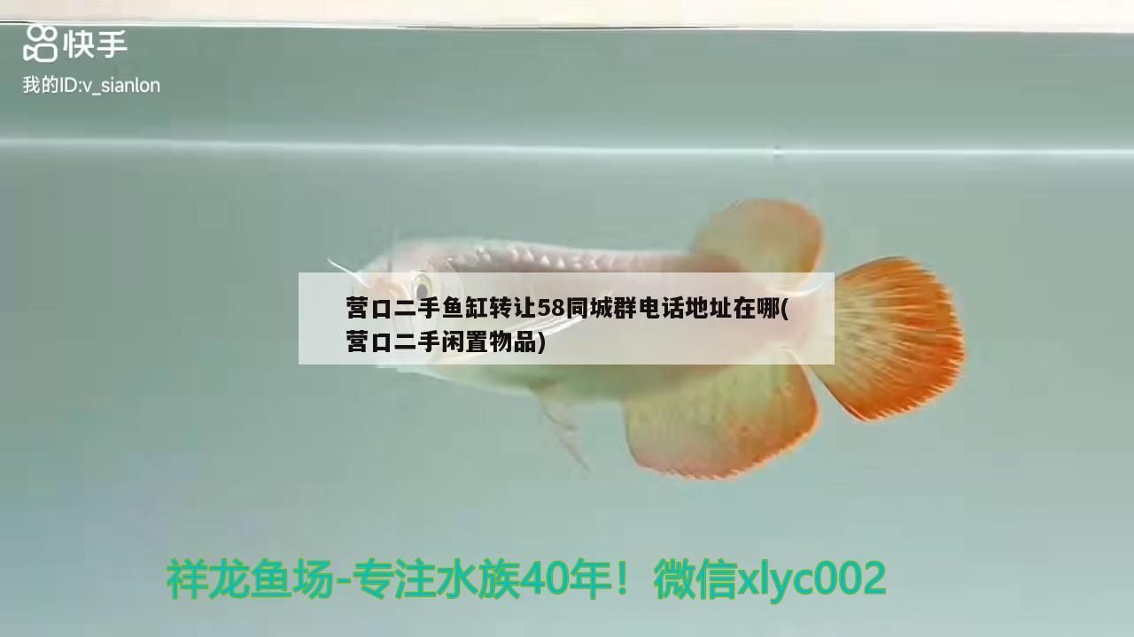 營口二手魚缸轉讓58同城群電話地址在哪(營口二手閑置物品)