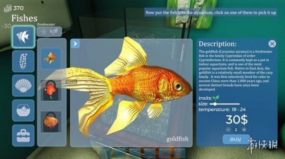 淄博觀賞魚收魚收魚價格查詢網(wǎng)知識分享淄博觀賞魚收魚價格查詢網(wǎng)，淄博觀賞魚價格查詢 淄博觀賞魚收魚收魚價格查詢網(wǎng)知識分享淄博觀賞魚收魚價格查詢網(wǎng)，淄博觀賞魚價格查詢 觀賞魚百科 第1張