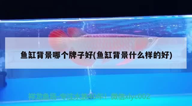 魚缸換水可以燒開水嘛?燒開水的優點,魚缸換水可以燒開水嘛魚缸換水的優點燒開水的注意事項 錦鯉魚百科 第2張 魚缸換水可以燒開水嘛?燒開水的優點,魚缸換水可以燒開水嘛魚缸換水的優點燒開水的注意事項 魚缸換水可以燒開水嘛?燒開水的優點,魚缸換水可以燒開水嘛魚缸換水的優點燒開水的注意事項 錦鯉魚百科 第2張