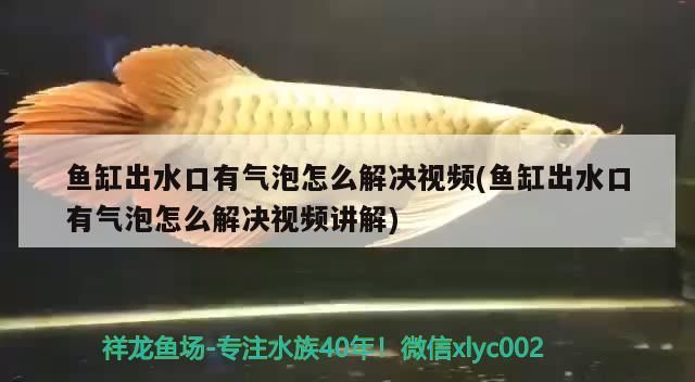 魚缸換水可以燒開水嘛?燒開水的優點,魚缸換水可以燒開水嘛魚缸換水的優點燒開水的注意事項 錦鯉魚百科 第1張 魚缸換水可以燒開水嘛?燒開水的優點,魚缸換水可以燒開水嘛魚缸換水的優點燒開水的注意事項 魚缸換水可以燒開水嘛?燒開水的優點,魚缸換水可以燒開水嘛魚缸換水的優點燒開水的注意事項 錦鯉魚百科 第1張
