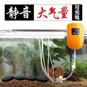 如何保持虎魚缸內(nèi)高溶氧，保持虎魚缸內(nèi)高溶氧的方法