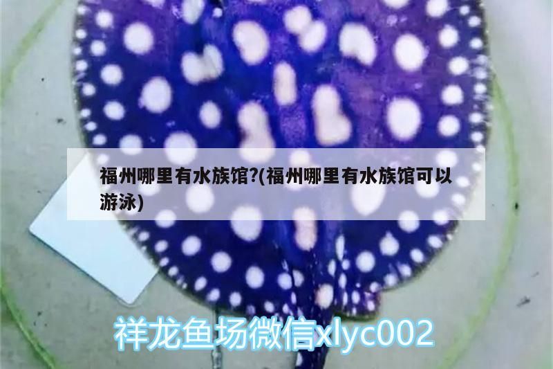 福州哪里有水族館?(福州哪里有水族館可以游泳) 福州哪里有水族館?(福州哪里有水族館可以游泳) 黃金貓魚百科