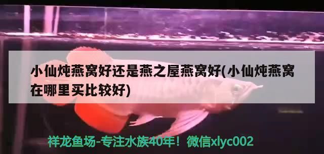 小型家用魚缸過濾系統價格（大魚缸過濾器大概是什么價格呢） 小型家用魚缸過濾系統價格（大魚缸過濾器大概是什么價格呢） 可麗愛魚缸 第2張