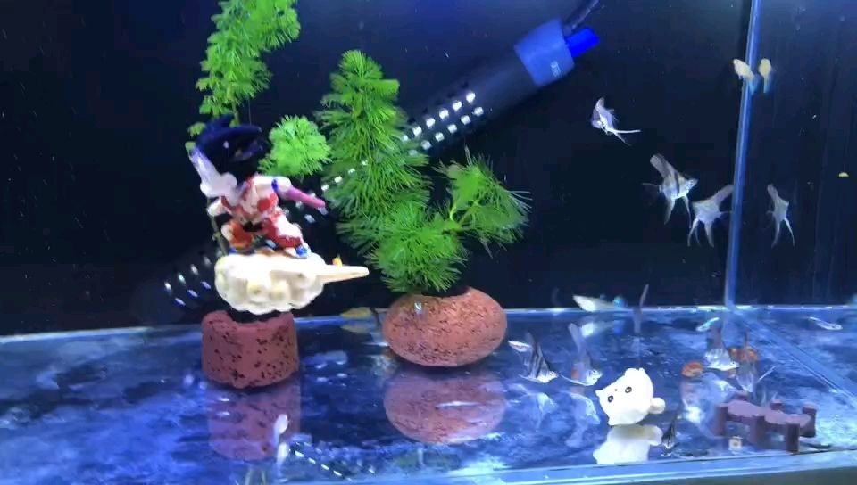 能