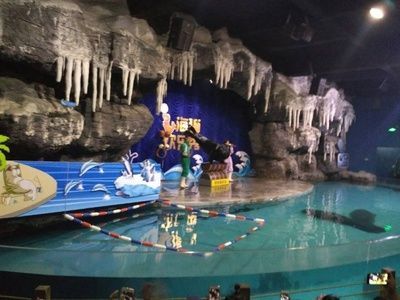 水族館定制（北京水族館定制） 水族館定制（北京水族館定制） 水族館百科（水族館加盟） 第1張