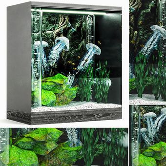 500元左右的魚缸：500元左右的魚缸養殖常見問題及購買建議及解決方案