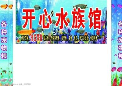 水族館招牌名：水族館招牌創意案例[需手動填充]水族館招牌色彩心理學招牌色彩心理學