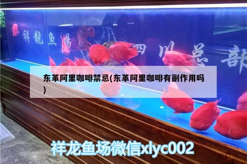 東革阿里咖啡禁忌(東革阿里咖啡有副作用嗎) 東革阿里咖啡禁忌(東革阿里咖啡有副作用嗎) 馬來西亞咖啡