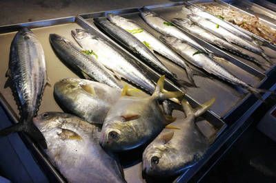 海鮮市場觀賞魚有哪些（十大最美的海鮮市場觀賞魚海鮮市場觀賞魚推薦29篇）