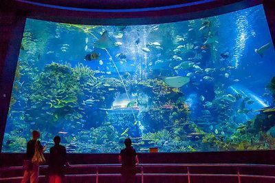 全國水族館排行2020：海昌海洋公園游玩攻略