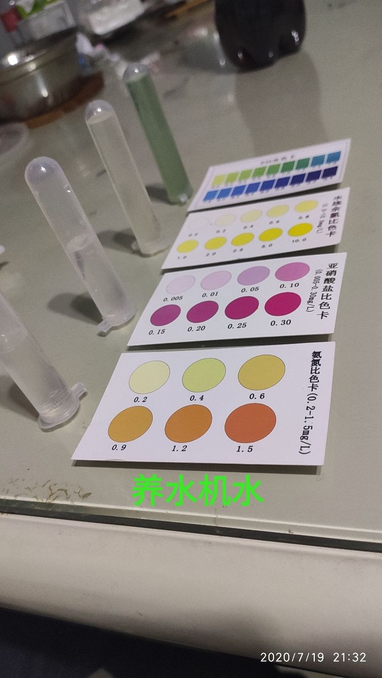 打卡測(cè)試下水 打卡測(cè)試下水 錦鯉魚(yú)百科 第3張