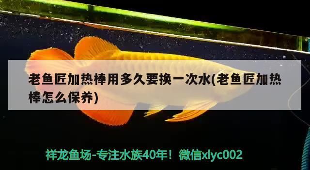 老魚匠加熱棒用多久要換一次水(老魚匠加熱棒怎么保養(yǎng))