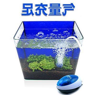 魚缸增氧機不增氧了是什么情況，如何正確維護魚缸增氧機 魚缸增氧機不增氧了是什么情況，如何正確維護魚缸增氧機 魚缸百科 第4張