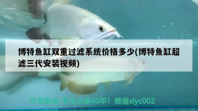 博特魚缸雙重過濾系統價格多少(博特魚缸超濾三代安裝視頻)