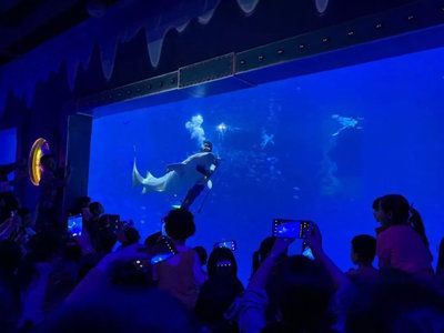 水族館制作廠家電話：水族館制作廠家電話的作用 水族館制作廠家電話：水族館制作廠家電話的作用 水族館百科（水族館加盟） 第5張