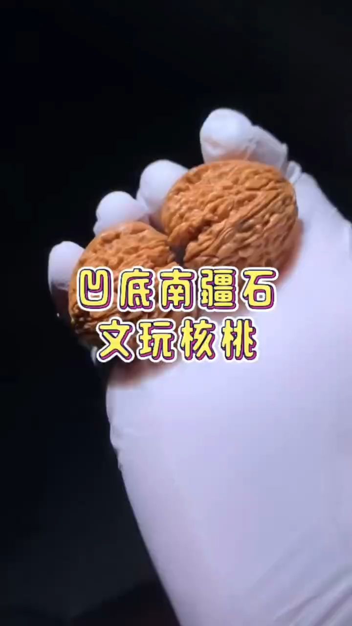 凹底南疆石核桃