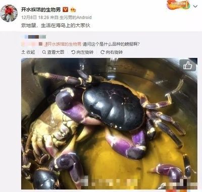 水族館主要經(jīng)營什么類目的：水族館特許經(jīng)營案例分析水族館特許經(jīng)營案例分析