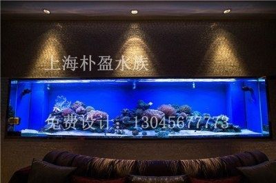 Grech魚缸時間怎么設(shè)置時間：25篇grech魚缸設(shè)置時間設(shè)置時間設(shè)置教程