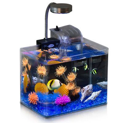 5mm玻璃能做多大魚缸：5mm厚的玻璃能做多大魚缸的安全注意事項有哪些