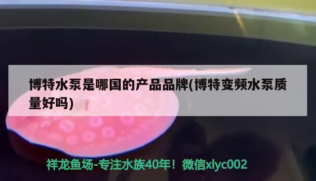 博特水泵是哪國的產品品牌(博特變頻水泵質量好嗎)