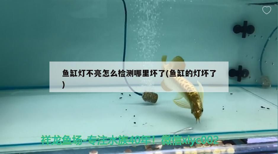 伊罕加熱棒費電嗎(伊罕加熱棒費電嗎怎么回事)