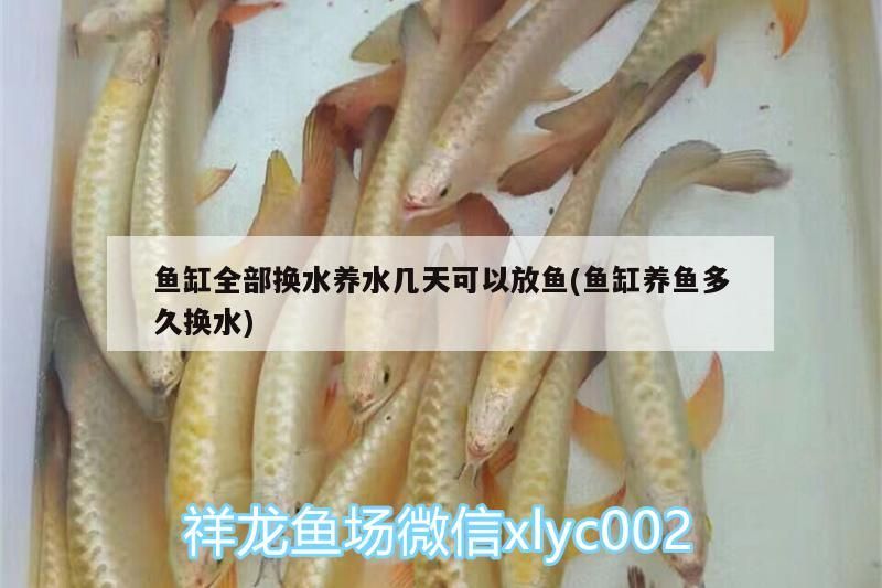 七彩神仙魚缸飄著白色絮狀物（七彩神仙魚缸底顏色） 七彩神仙魚缸飄著白色絮狀物（七彩神仙魚缸底顏色） 九鼎魚缸 第2張