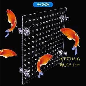 最便宜的紅龍魚苗價格多少錢：最便宜的紅龍魚苗價格