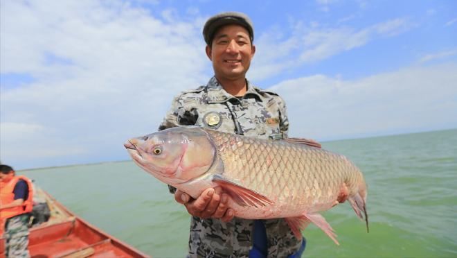 紅龍魚四大漁場