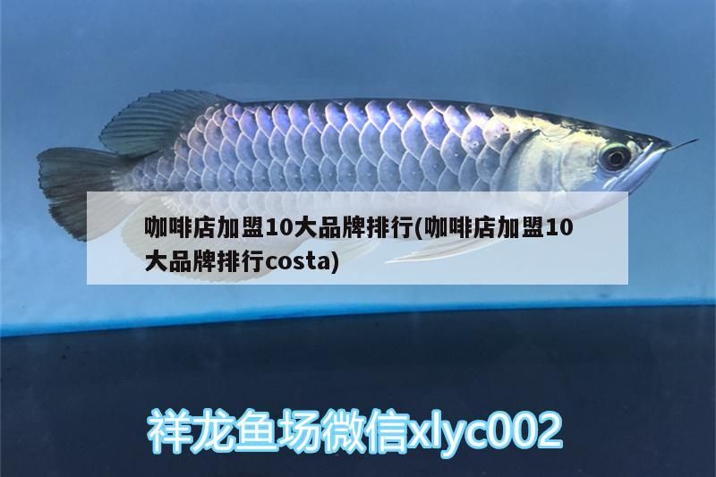 魚缸過(guò)濾器選購(gòu)指南:自制魚缸過(guò)濾器魚缸上置過(guò)濾器對(duì)于養(yǎng)魚愛(ài)好者的必備知識(shí) 咖啡店加盟10大品牌排行(咖啡店加盟10大品牌排行costa) 馬來(lái)西亞咖啡 咖啡店加盟10大品牌排行(咖啡店加盟10大品牌排行costa) 咖啡店加盟10大品牌排行(咖啡店加盟10大品牌排行costa) 馬來(lái)西亞咖啡