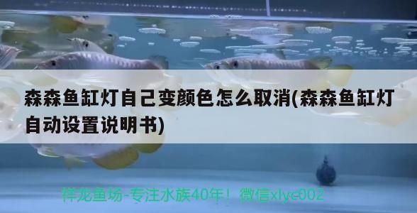 森森魚缸燈自己變顏色怎么取消(森森魚缸燈自動設(shè)置說明書) 森森魚缸燈自己變顏色怎么取消(森森魚缸燈自動設(shè)置說明書) iwish愛唯希品牌魚缸