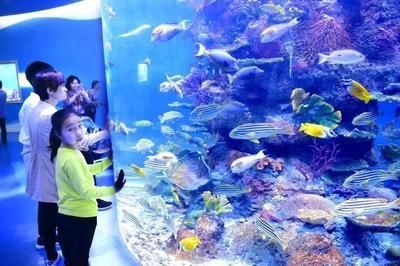 水族館名稱大全（全球知名的水族館名稱） 水族館名稱大全（全球知名的水族館名稱） 水族館百科（水族館加盟） 第4張