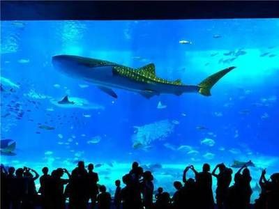 水族館名稱大全（全球知名的水族館名稱） 水族館名稱大全（全球知名的水族館名稱） 水族館百科（水族館加盟） 第5張